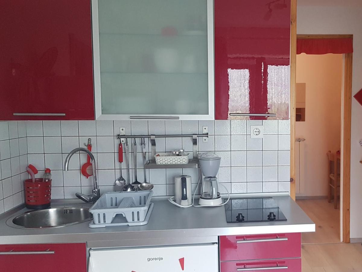 Apartments Tatjana Bovec Cameră foto